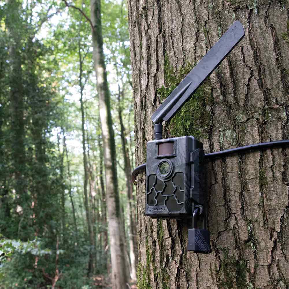 ABUS Padlock 70/35 SECACAM Edition