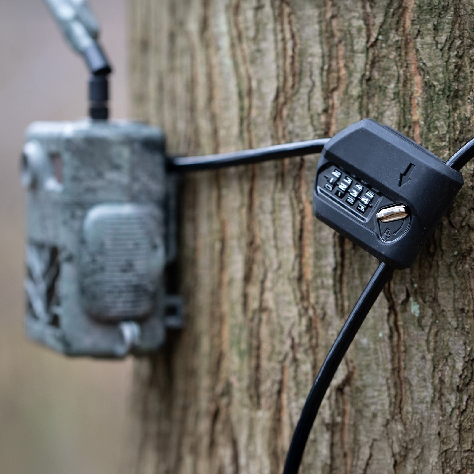 ZEISS Verrouillage de câble (avec code)