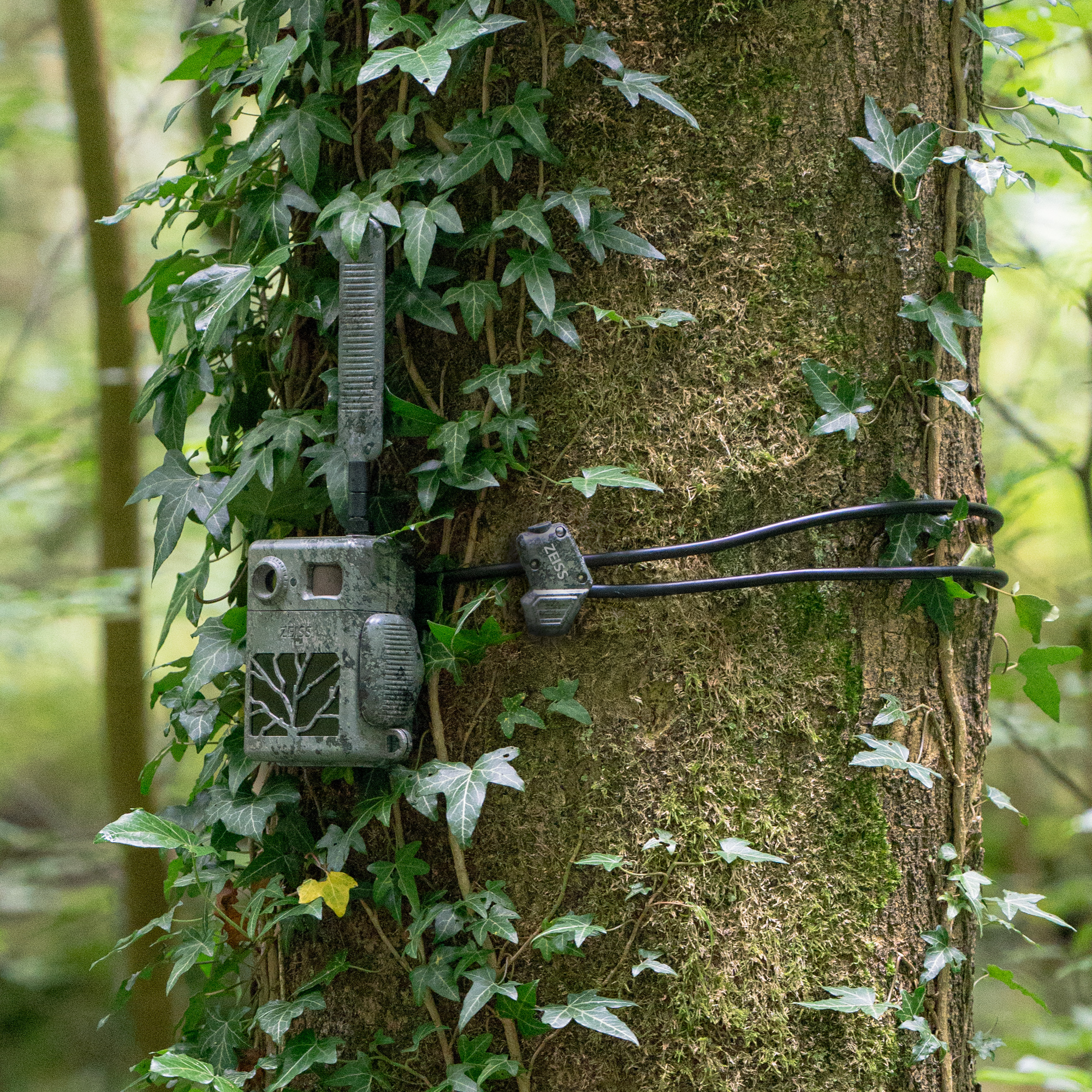 ZEISS Câble antivol avec clé