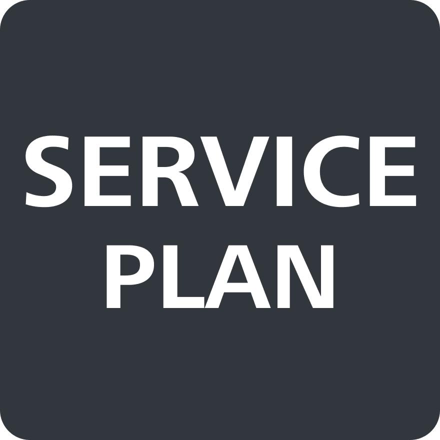 Basic - 2 cameras annual plan