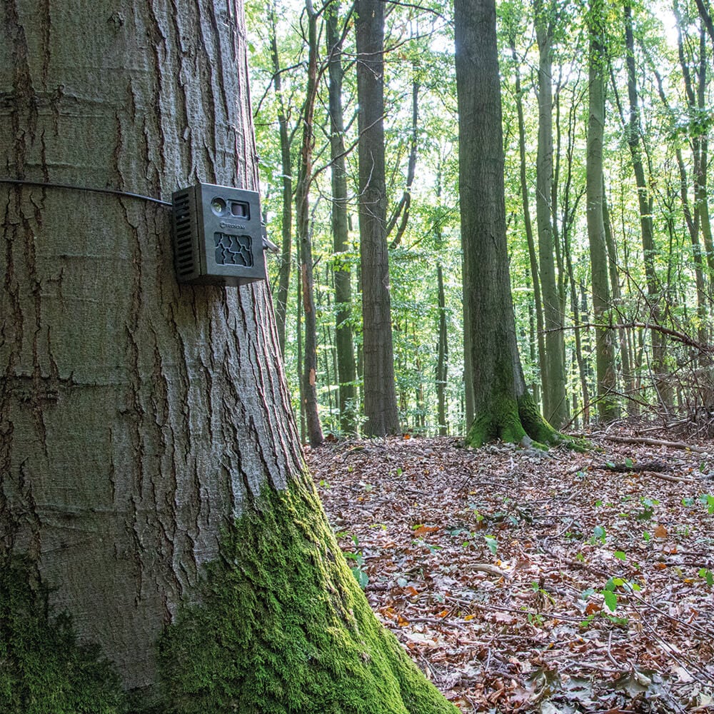 SECACAM Boîtier Métallique Pro Plus