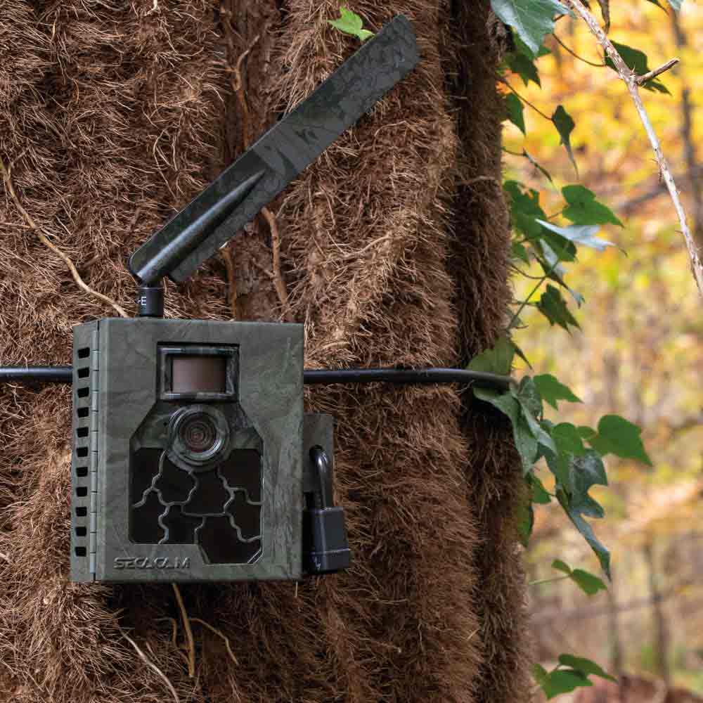 SECACAM Metal Housing 5000 Explorer green textured