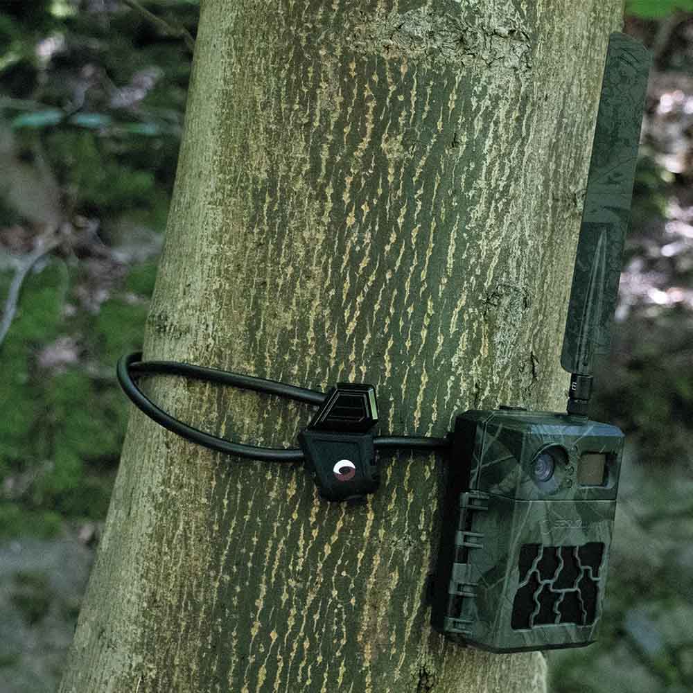 SECACAM Cable Lock