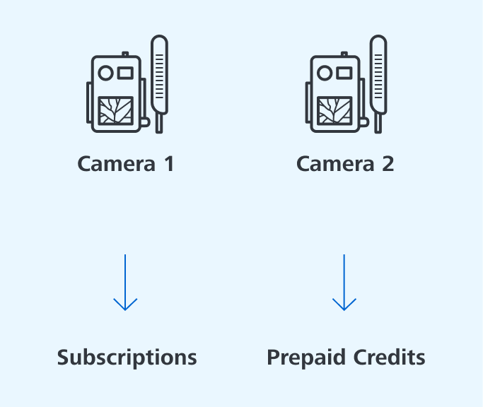 Subscriptions & Prepaid Credits